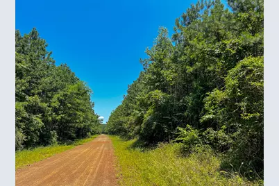 9 Bayou Road, Milam, TX 75948 - Photo 4