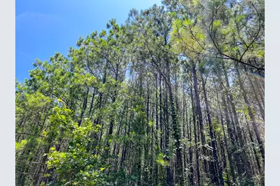 9 Bayou Road, Milam, TX 75948 - Photo 1