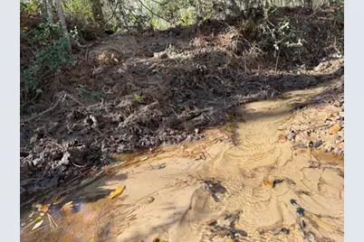 19 Ac Pr 1429, Centerville, TX 75833 - Photo 4