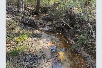 19 Ac Pr 1429, Centerville, TX 75833 - Photo 10