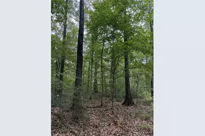 1470 Pr 8060, Woodville, TX 75979 - Photo 30
