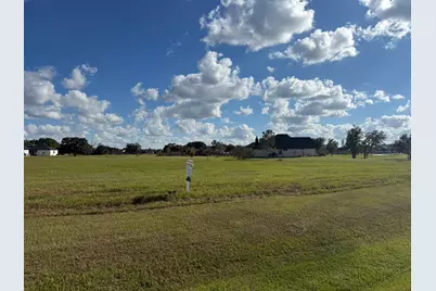 914 Lily Lane, Rosharon, TX 77583 - Photo 6