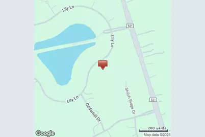 914 Lily Lane, Rosharon, TX 77583 - Photo 14