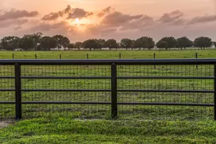 6868 FM 360 Rd, Needville, TX 77461 - Photo 46