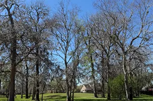 7807 Elm Tree Ct, Sugar Land, TX 77479 - Photo 32