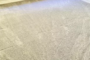 7807 Elm Tree Ct, Sugar Land, TX 77479 - Photo 24