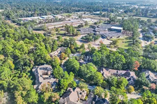 83 Scarlet Woods Ct, The Woodlands, TX 77380 - Photo 30