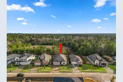 30391 Limber Pines Drive, Magnolia, TX 77355 - Photo 44
