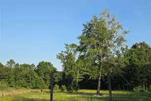 1322 Rd 5263, Cleveland, TX 77327 - Photo 2