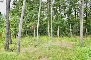 12161 La Salle River Rd, Conroe, TX 77304 - Photo 34