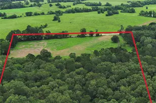Tbd Mt Zion Rd, New Waverly, TX 77358 - Photo 1