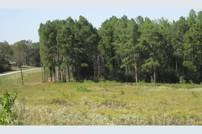 000 21 Fm256 N, Woodville, TX 75979 - Photo 2