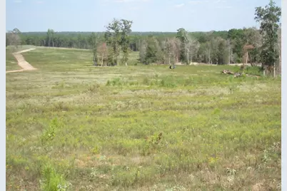 000 21 Fm256 N, Woodville, TX 75979 - Photo 6