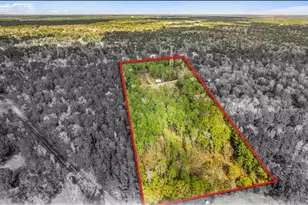 4325 Honea Egypt Rd, Montgomery, TX 77316 - Photo 1