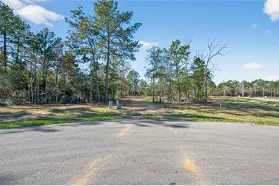 7629 Trinity Pines Drive, Montgomery, TX 77316 - Photo 8