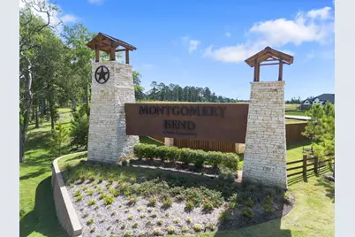 909 Silver Buckle Lane, Montgomery, TX 77356 - Photo 28
