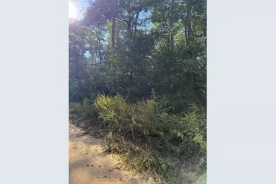 Tbd Lannie Blvd, Livingston, TX 77351 - Photo 2