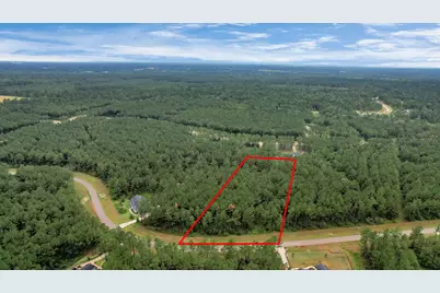 10940 Ruger Road, Willis, TX 77378 - Photo 2