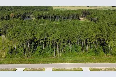 3171 Road 66125, Dayton, TX 77535 - Photo 8