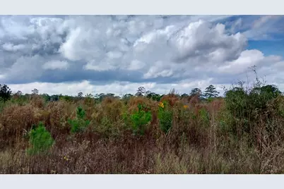 000 Pr 6150, Woodville, TX 75979 - Photo 16