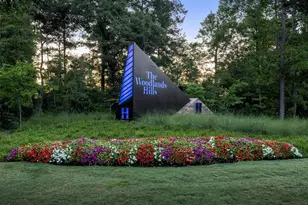 243 Nancy Lou Ln, Willis, TX 77318 - Photo 48