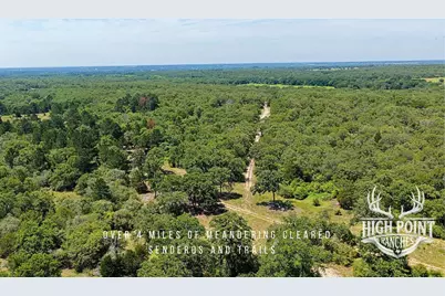 Tbd Ranch Road Off Cr 405- 245 Acres, Lexington, TX 78947 - Photo 8