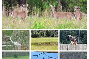 2672 Magnolia Fair Way, Spring, TX 77386 - Photo 20