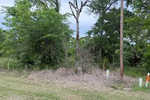 Lot 231 Scenic Woods Dr, Coldspring, TX 77331 - Photo 22