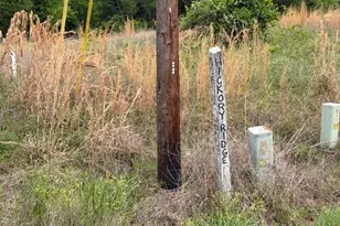 Lot 231 Scenic Woods Dr, Coldspring, TX 77331 - Photo 2