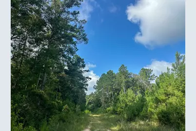 T-3 Fm 943, Kountze, TX 77625 - Photo 16