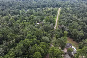 1 Cherry Laurel Ln, New Caney, TX 77357 - Photo 16
