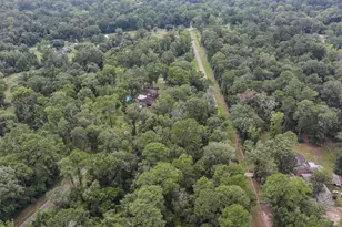 1 Cherry Laurel Ln, New Caney, TX 77357 - Photo 8