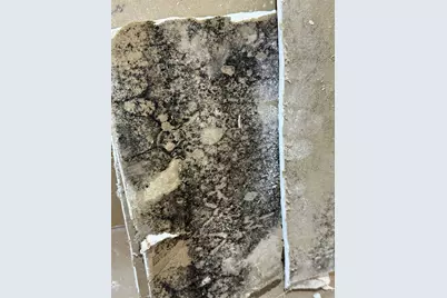 18 Hawkseye Place, The Woodlands, TX 77381 - Photo 40