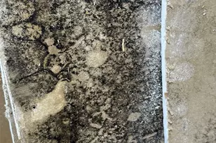 18 Hawkseye Pl, The Woodlands, TX 77381 - Photo 40