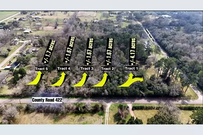 0 County Road 422-Tract 5, Alvin, TX 77511 - Photo 1