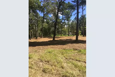 0 0 Big Deer Drive, Houston, TX 77532 - Photo 2