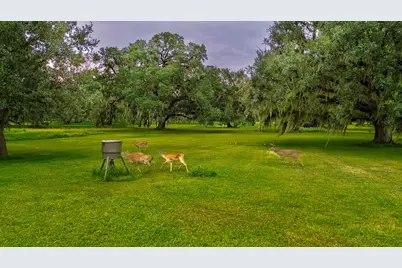 838 Lone Star Trail, Angleton, TX 77515 - Photo 40