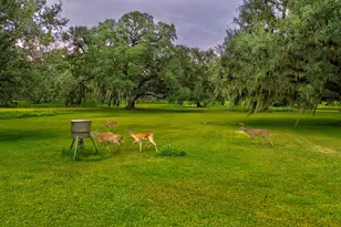838 Lone Star Trail, Angleton, TX 77515 - Photo 40