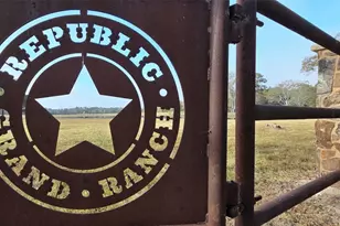 16246 Ridge Oak Rd, Willis, TX 77378 - Photo 10