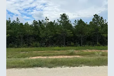 16246 Ridge Oak Road, Willis, TX 77378 - Photo 8