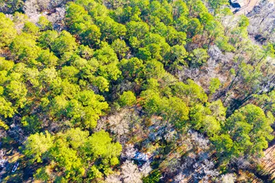 Lot 30 Cedar Court, Trinity, TX 75862 - Photo 2
