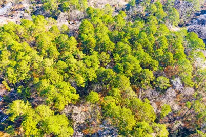 Lot 30 Cedar Court, Trinity, TX 75862 - Photo 14