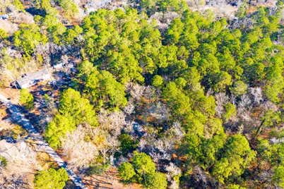 Lot 30 Cedar Court, Trinity, TX 75862 - Photo 16