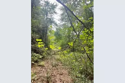 Lot 8 Block 22 Lonestar Road, Huntsville, TX 77340 - Photo 2