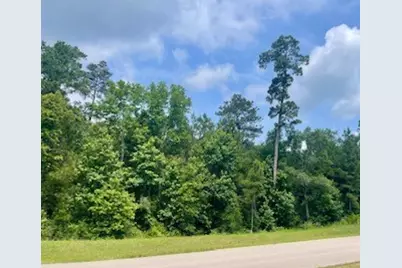 Lot 8 Block 22 Lonestar Road, Huntsville, TX 77340 - Photo 6