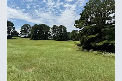 Tbd Tbd US Highway 287 N, Grapeland, TX 75844 - Photo 4