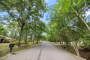 417 Rancho Bauer Dr, Houston, TX 77079 - Photo 8