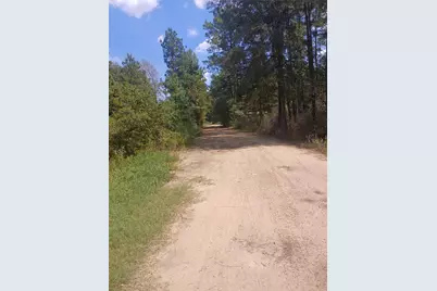 7883 Hoptree Lane, Plantersville, TX 77363 - Photo 2