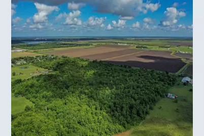 Tr 7 Fm 1462, Rosharon, TX 77583 - Photo 4