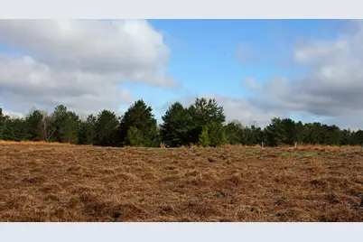 Tbd La Petite Court, Trinity, TX 75862 - Photo 8